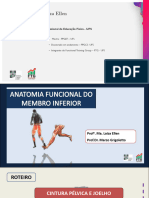 Aula de Anatomial Funcional - Membros Inferiores