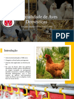 Especialidade de Aves Domésticas