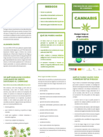 Cannabis Triptico Web