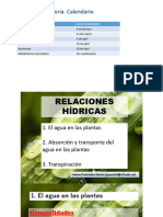 Relaciones Hídricas El Agua en Las Plantas (Aula Virtual)