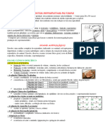 Aula 2 - ASPECTOS REPRODUTIVOS DO TOURO