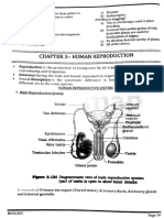 Human Reproduction