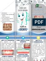 Triptico Gingivitis Periodontitis