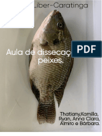 Peixe - Aula Pratica