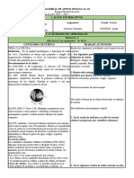 9º Material de Apoyo CCNN 4ºsem