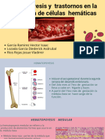 HEMATOPOYESIS