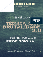 Treino ABCDE - PROFISSIONAL