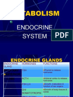 Anatomy of The Endocrine System II