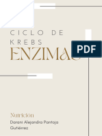 Hormonas Ciclo de Krebs