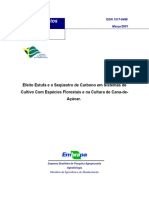 Efeito Estufa e o Sequestro Do Carbono