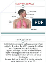 Anatomy of Airway