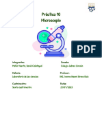 Practica 10 (Microscopio)