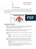 Sexual Reproduction in Flowering Plants