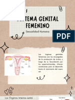 Sistema Genital Femenino