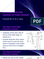 The Small Intestine Channel of Hand Taiyang