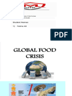 Global Food Crisis