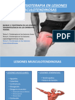 Tema 5. Lesiones Musculotendinosas.