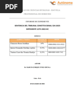 Informe Expediente - Practicas Pre-Prof