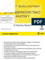 Upper Respiratory Tract Anatomy