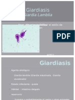 Giardiasis y Toxoplasmosis