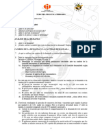 PD III Practica Dirigidal