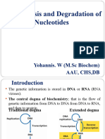 Synthesis and Degra Nuclotides