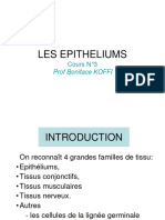 3 Les Epithéliums