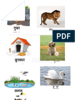 Animal Homes Hindi