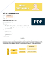 Pleura y Pulmones