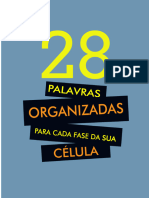 28 Palavras Organizadas para Cada Fase Da Sua Célula