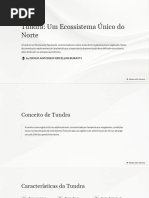 Tundra Um Ecossistema Unico Do Norte