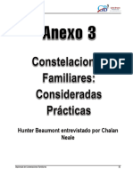 Anexo 3 - Constelaciones Familiares Consideradas Practicas