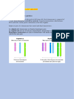 SECTION C - Heredity and Variation