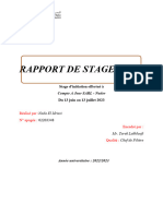 RAPPORT DE STAGE Nada