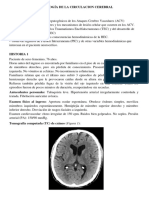 DG Circulación Cerebral 2023