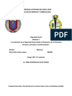 Ensayo 3. Analisis de Los Derechos Sociales y Humanos