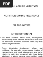 Nutrition During Pregnancy