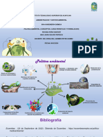 Mapa Mental Politica Ambiental