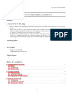 LP21 Induction Electromagn Tique