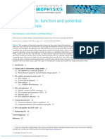 Nucleic Acids Function and Potential For Abiogenesis