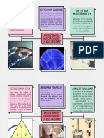 Mapa Conceptual