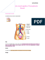 Insuficiência Renal Aguda e Transplante Renal