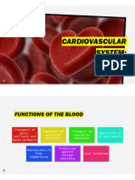 Cardiovascular System