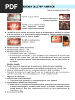 Mordida Cruzada Anterior - Caroline Dousseau e Letã Cia Oliva