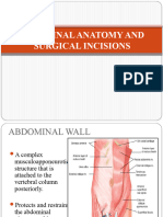 Abdominal Anatomy and Surgical Incisions