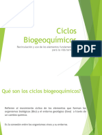 Ciclos Biogeoquimicos