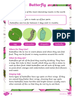 T L 4610 Butterfly Reading Comprehension Activity - Ver - 4