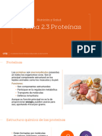 2.3 Proteinas