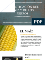 Clase - 14 y 15 - Domesticación Del Maiz y de Los Perros