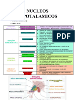 Nucleos Hipotalamicos